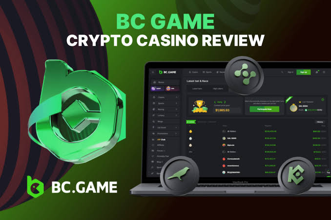 Understanding BC.Game Mirror Login Accessing Gaming Freedom