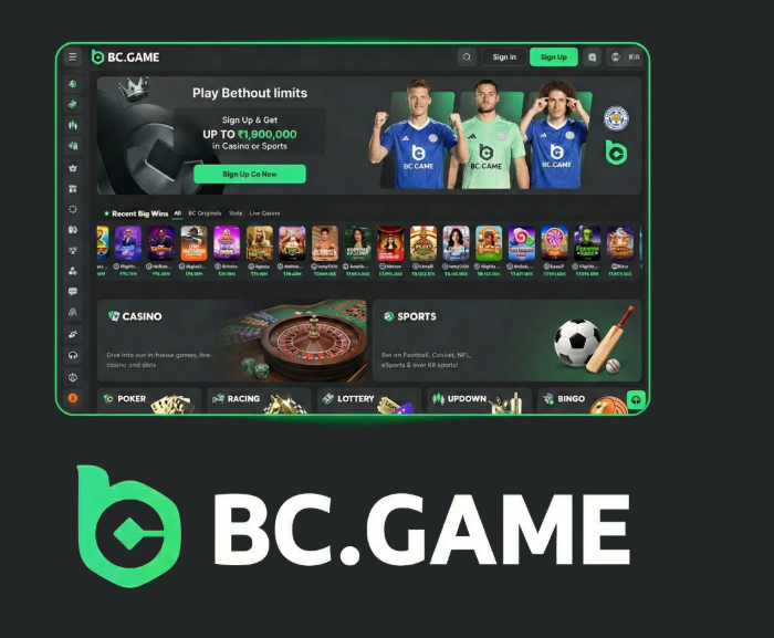 Understanding BC.Game Mirror Login Accessing Gaming Freedom
